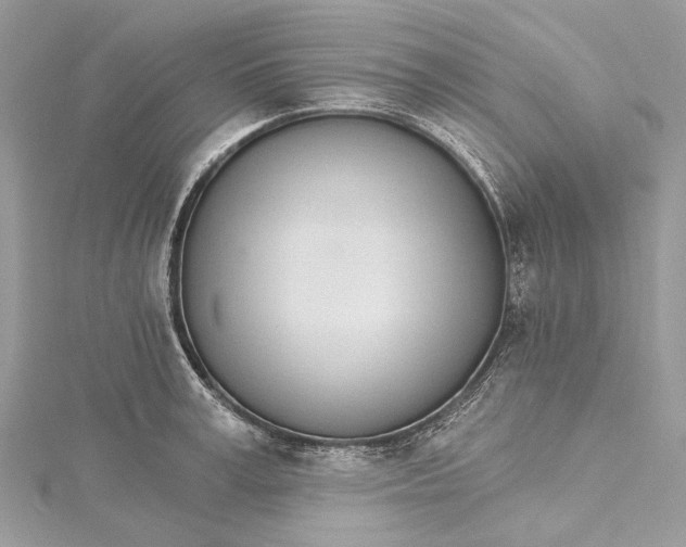 X0000115650995200912011518