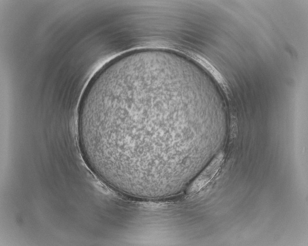 X0000115650996200912011518