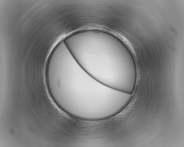 X0000115650997200912011518