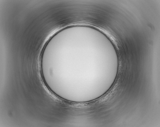 X0000115650998200912011518