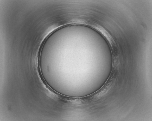 X0000115650999200912011518