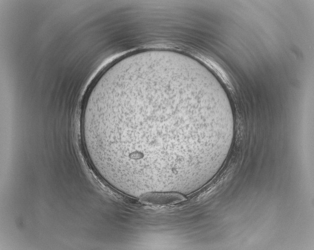 X0000115651000200912011518