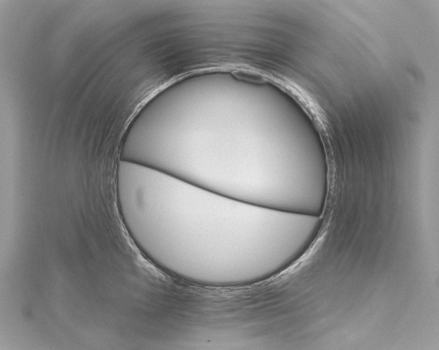 X0000115651001200912011518