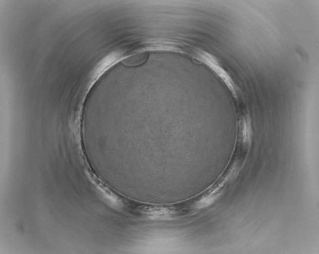 X0000115651002200912011518