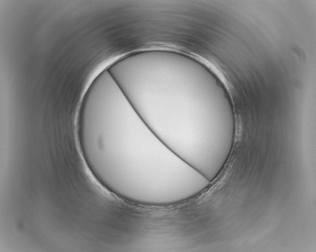 X0000115651003200912011518