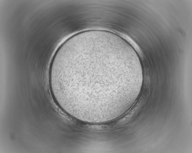 X0000115651004200912011518