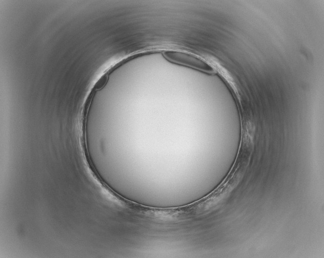 X0000115651005200912011518