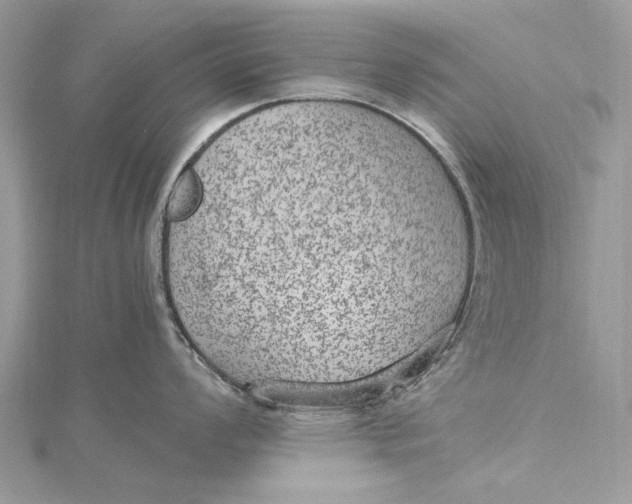 X0000115651008200912011518