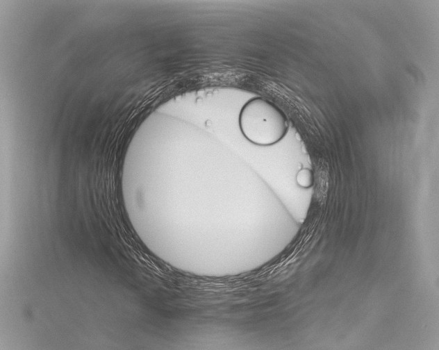 X0000115651010200912011517