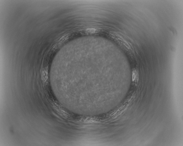 X0000115651011200912011517