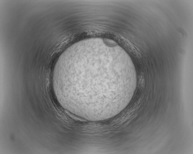 X0000115651012200912011517