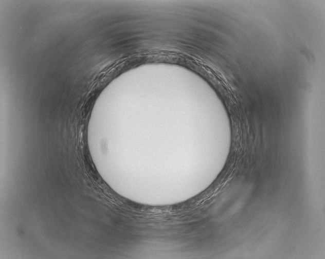 X0000115651013200912011517