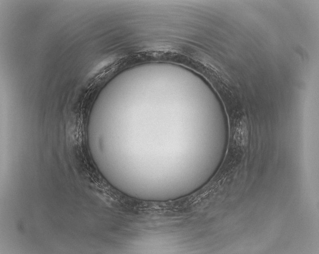 X0000115651014200912011517