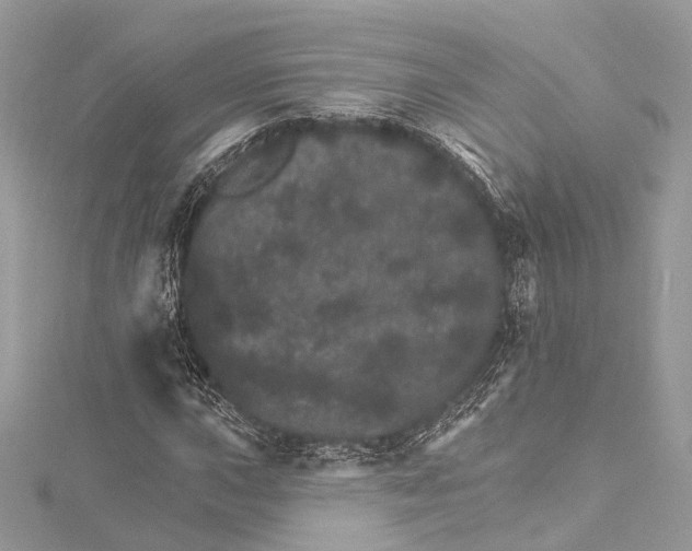 X0000115651015200912011517