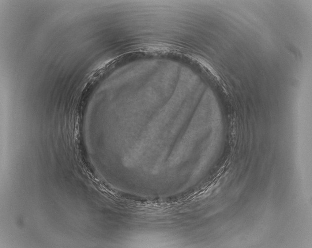 X0000115651016200912011517