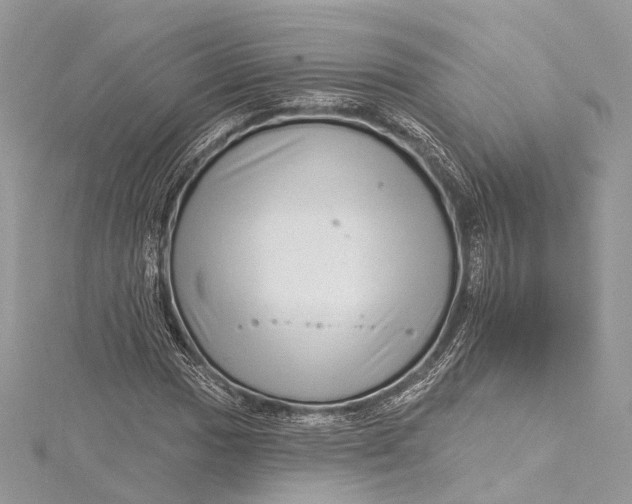 X0000115651017200912011518