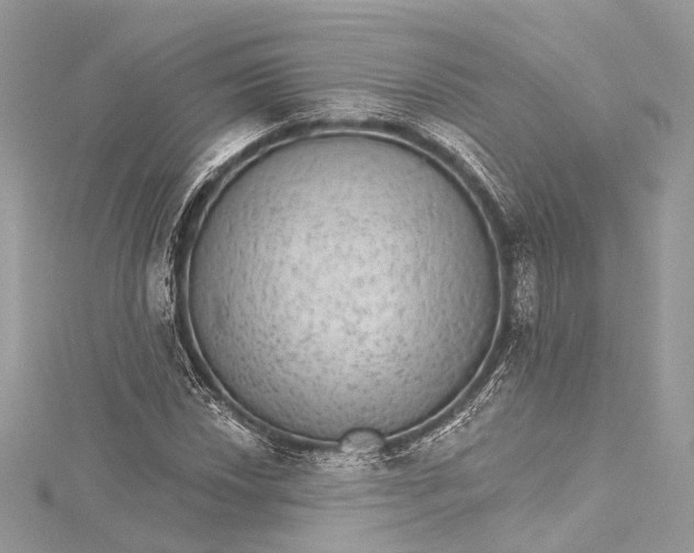 X0000115651018200912011518