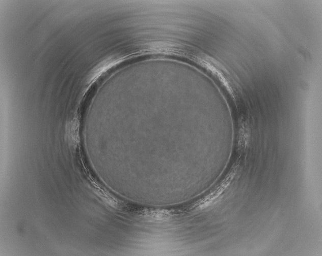 X0000115651019200912011518