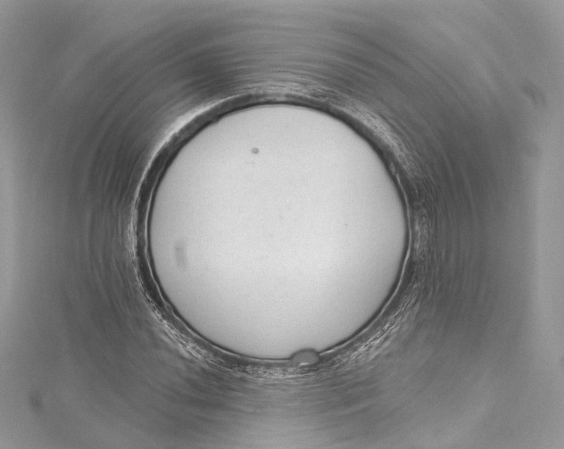 X0000115651020200912011518