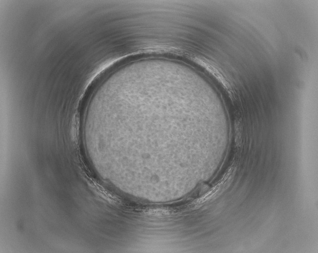 X0000115651021200912011518