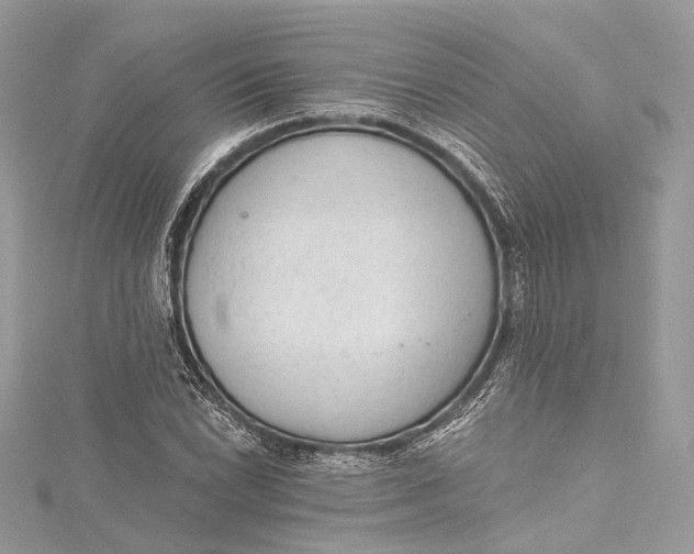 X0000115651022200912011518