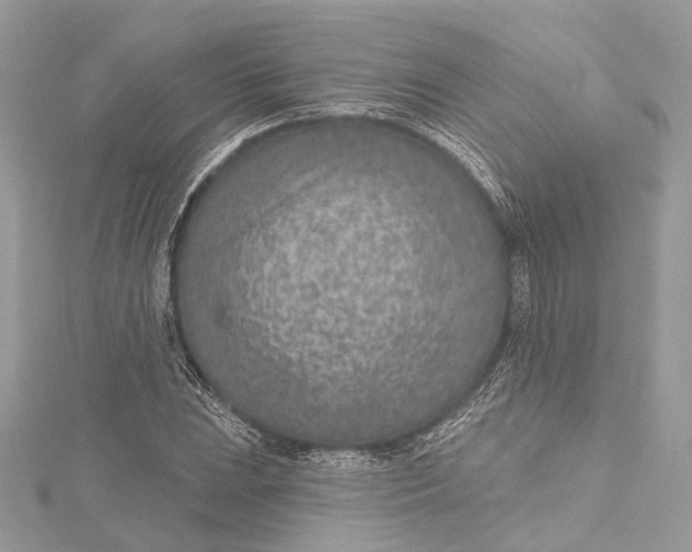 X0000115651023200912011518