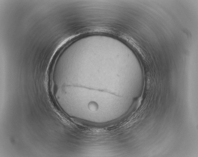 X0000115651024200912011518