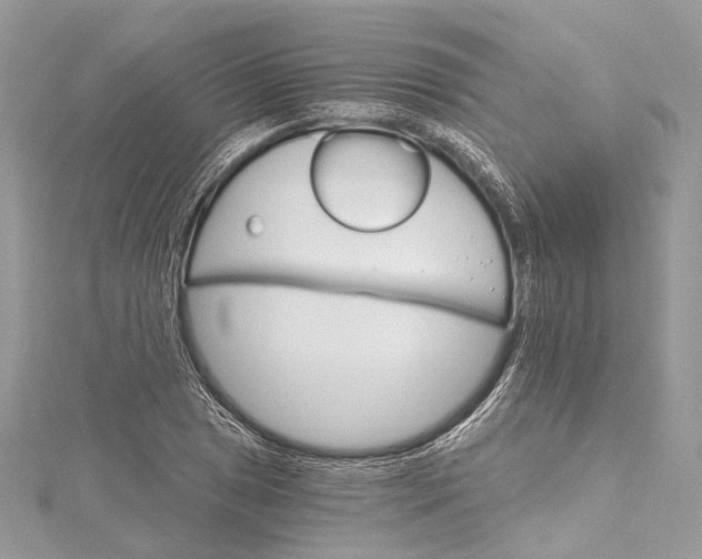 X0000115651025200912011518