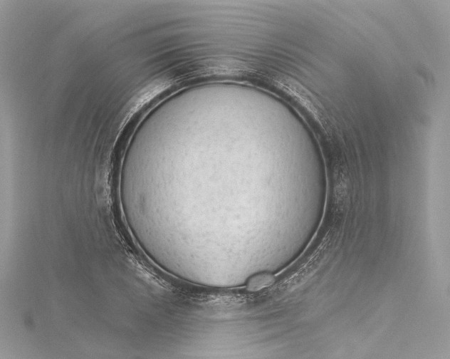 X0000115651026200912011518