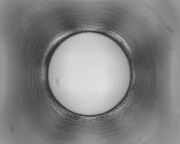 X0000115651027200912011518