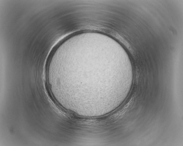 X0000115651028200912011518