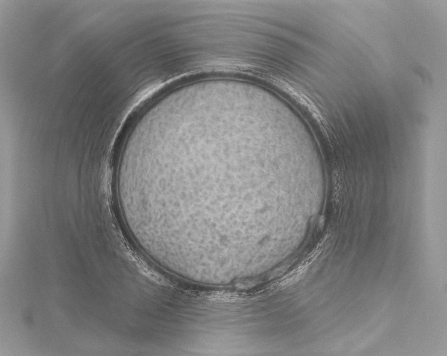 X0000115651029200912011518