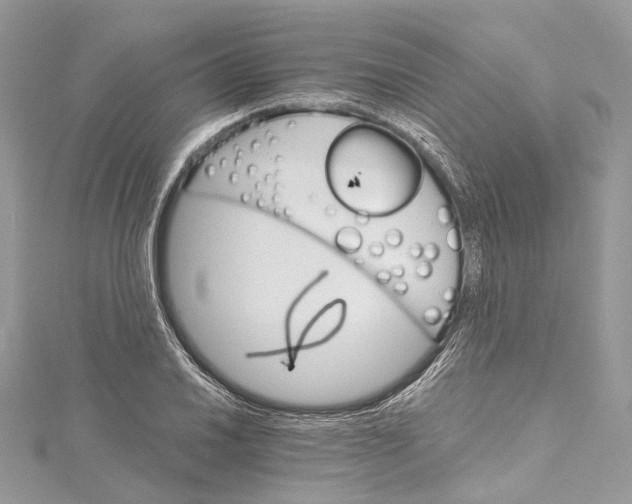 X0000115651030200912011518