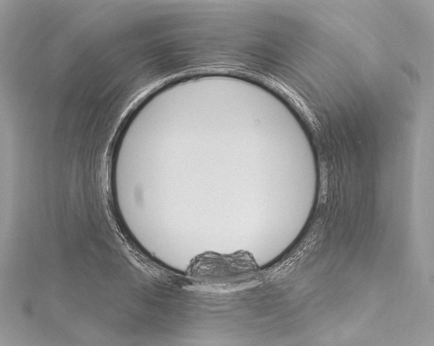 X0000115651031200912011518