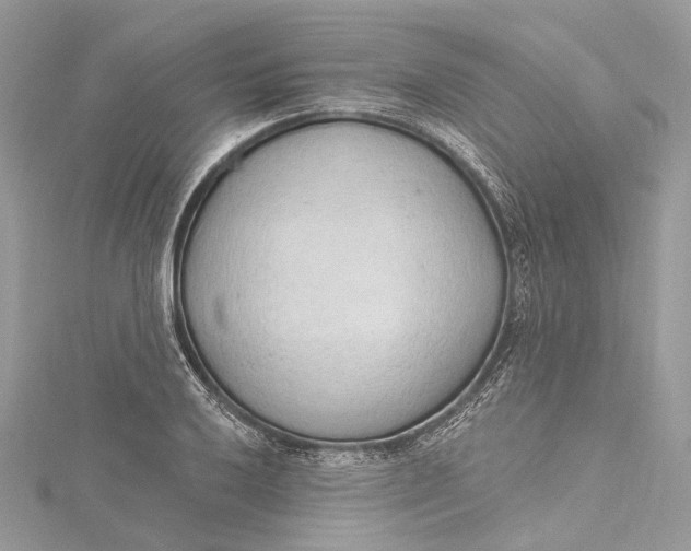 X0000115651032200912011518