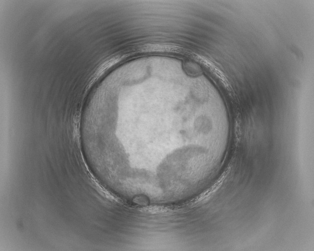 X0000115651033200912011518