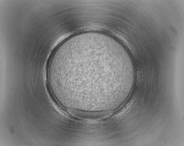 X0000115651034200912011518