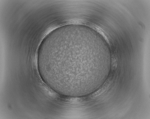 X0000115651035200912011518