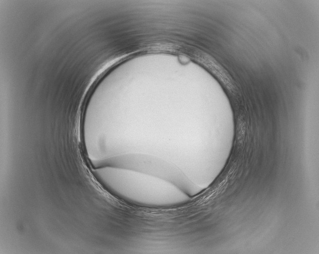 X0000115651036200912011518