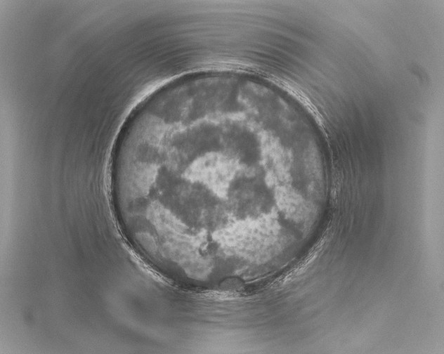 X0000115651037200912011518