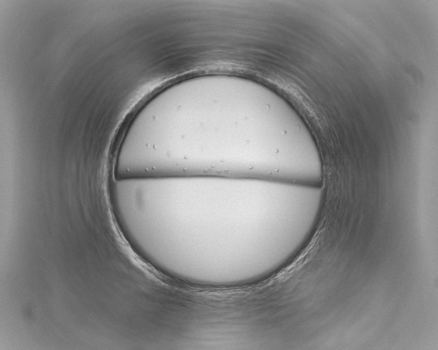 X0000115651038200912011518