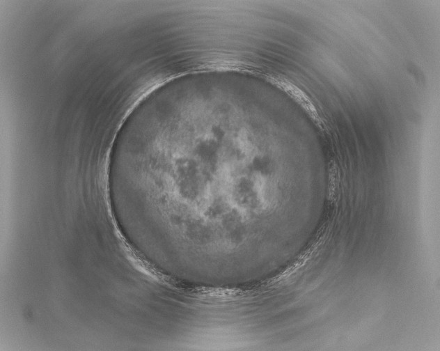 X0000115651039200912011518