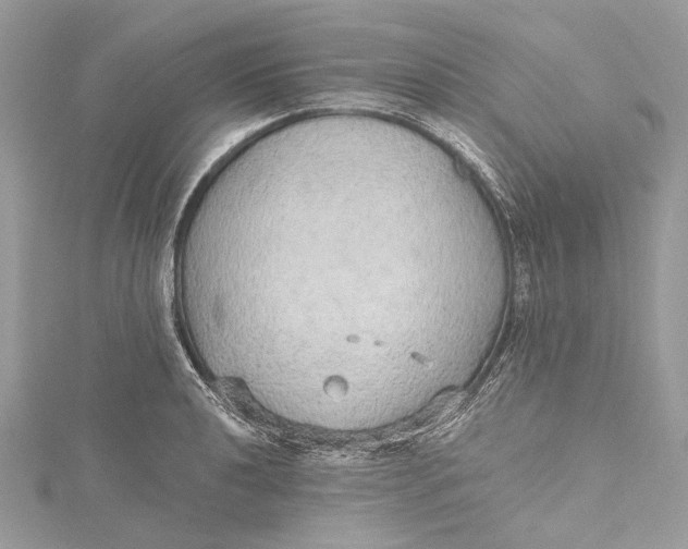 X0000115651040200912011518