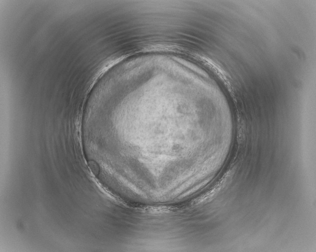 X0000115651041200912011518