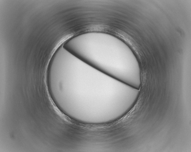 X0000115651042200912011518