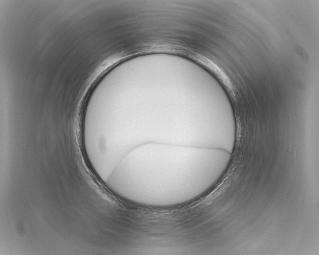 X0000115651043200912011518