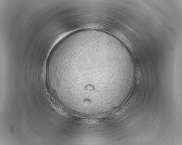 X0000115651044200912011518