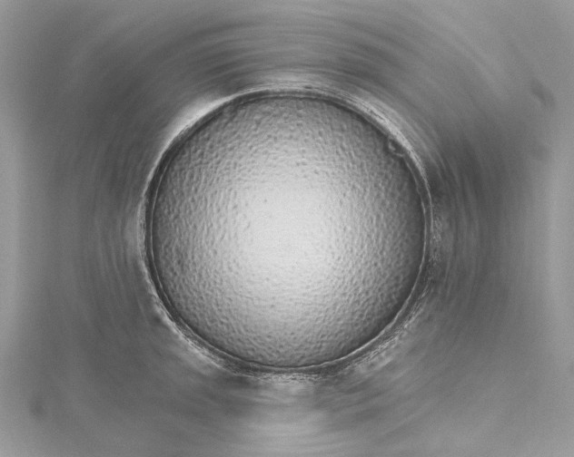 X0000115651045200912011518