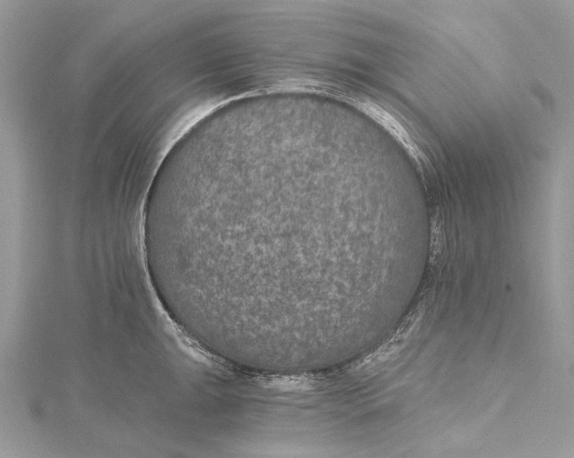 X0000115651047200912011518