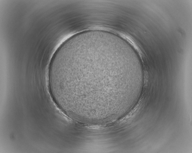 X0000115651048200912011518